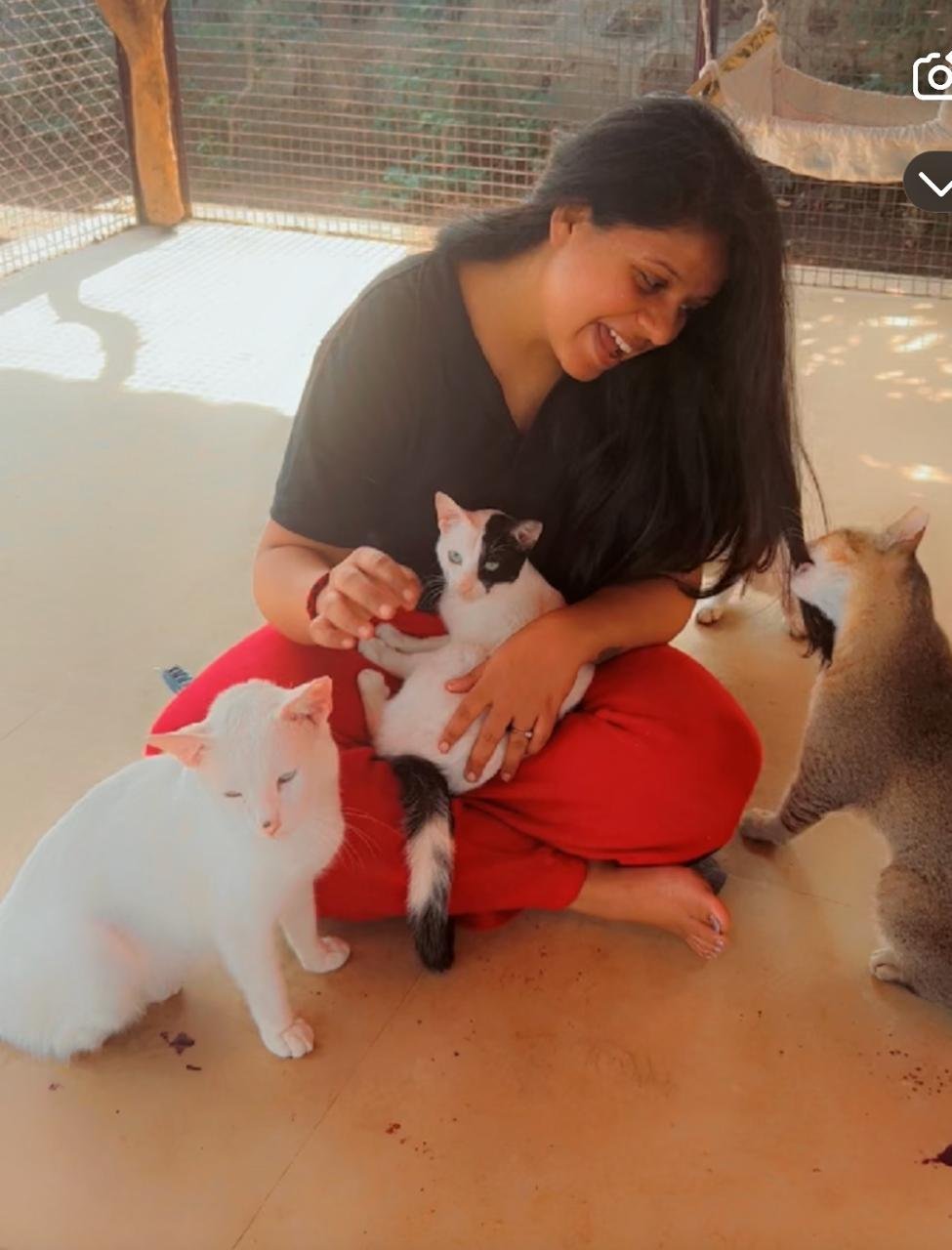 Awaaz team treating a stray dog