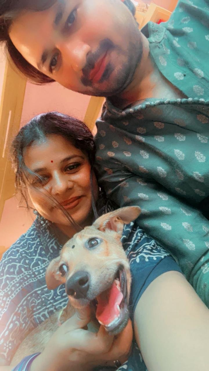 Accident Recovery Dog