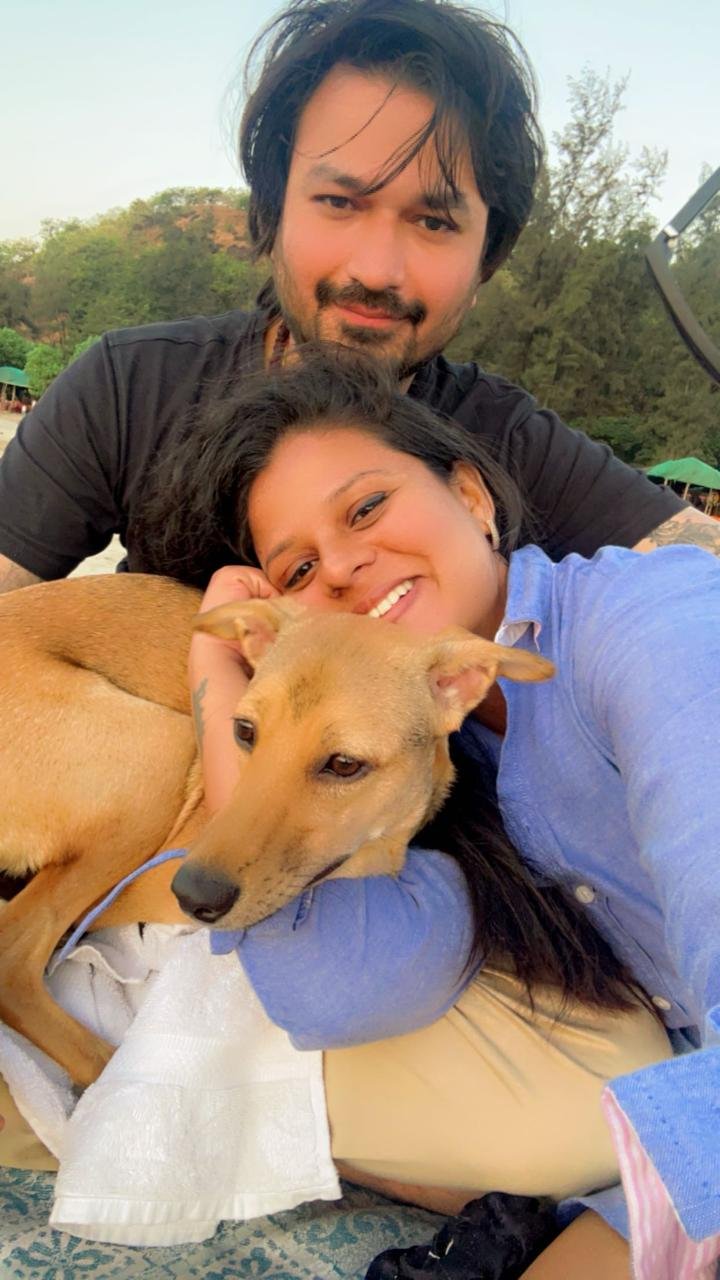 Feeding drive for stray animals