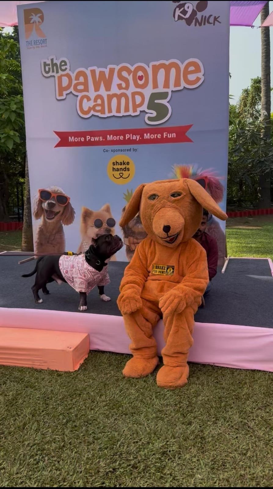 Pinki Mascot Awaaz Foundation